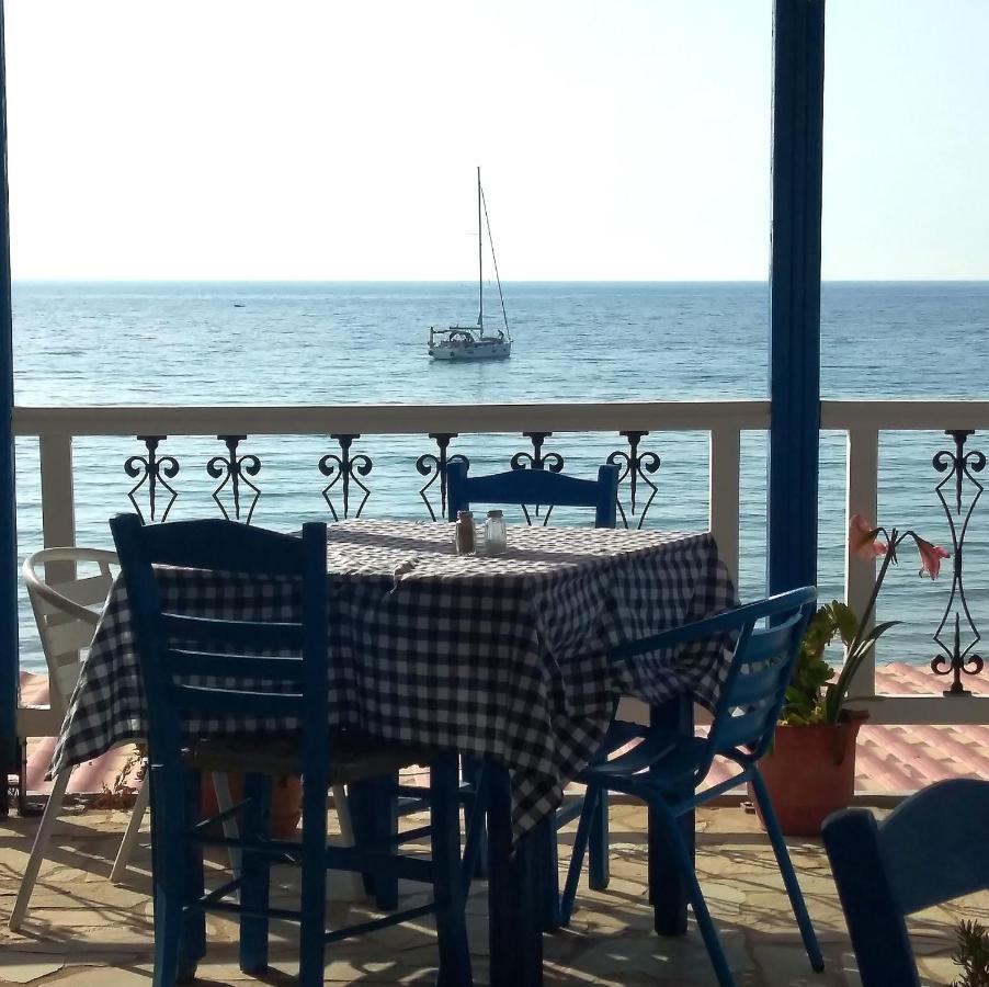 Svetlana & Michalis Oasis Hotel Agia Marina  Extérieur photo