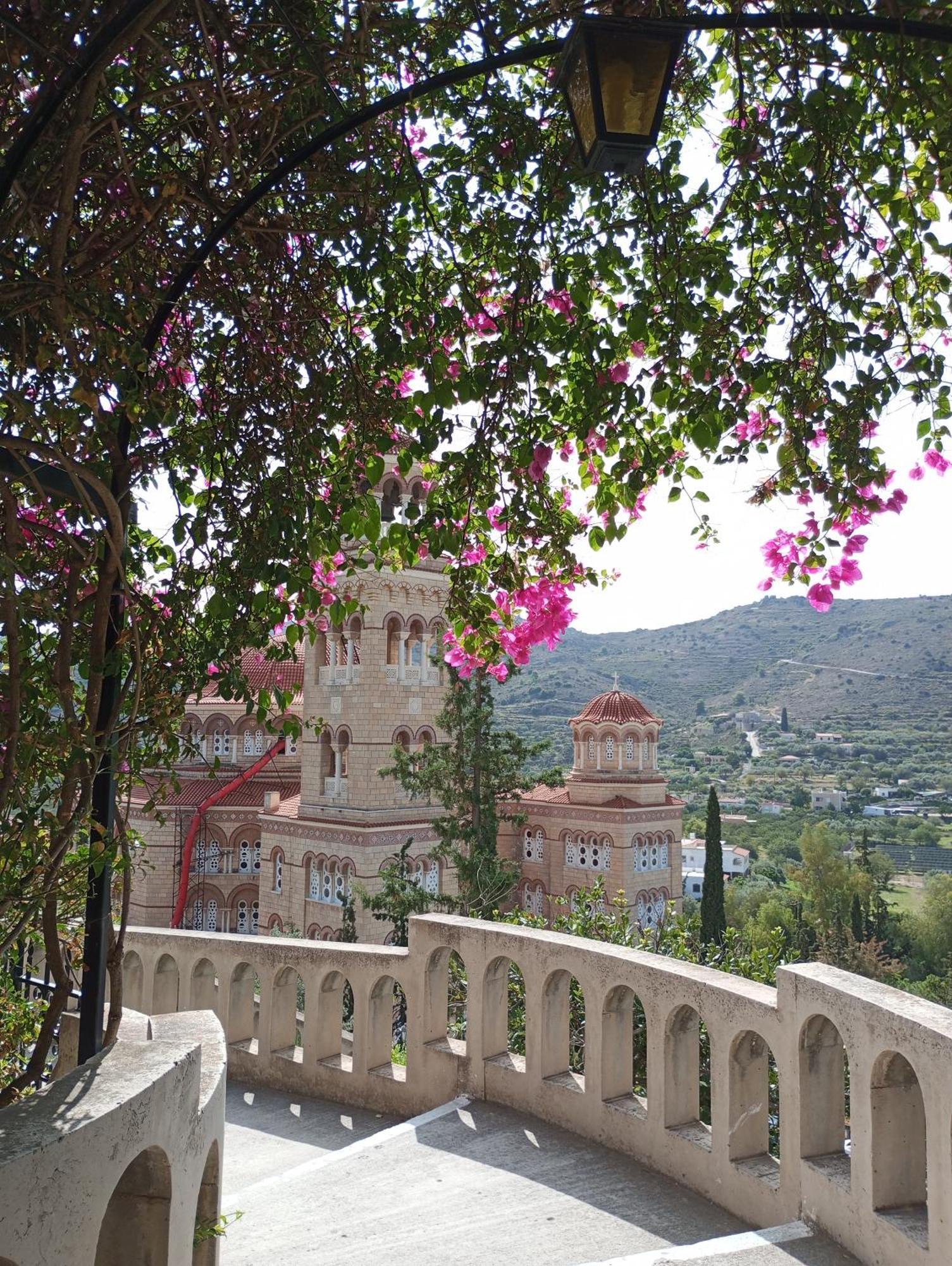Svetlana & Michalis Oasis Hotel Agia Marina  Extérieur photo