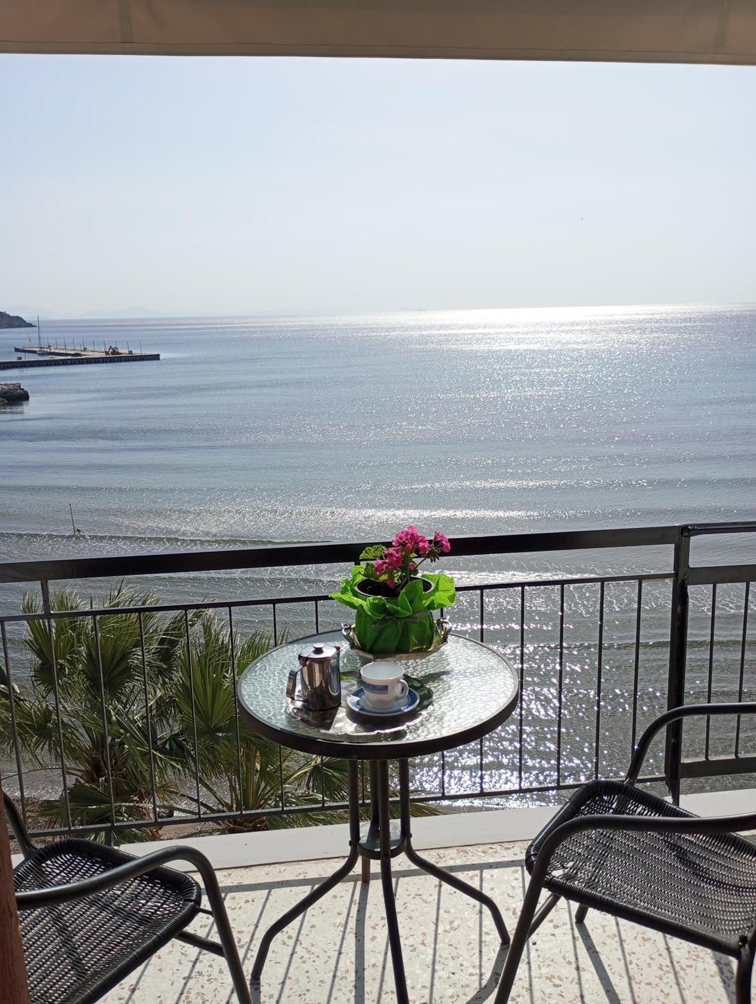 Svetlana & Michalis Oasis Hotel Agia Marina  Extérieur photo