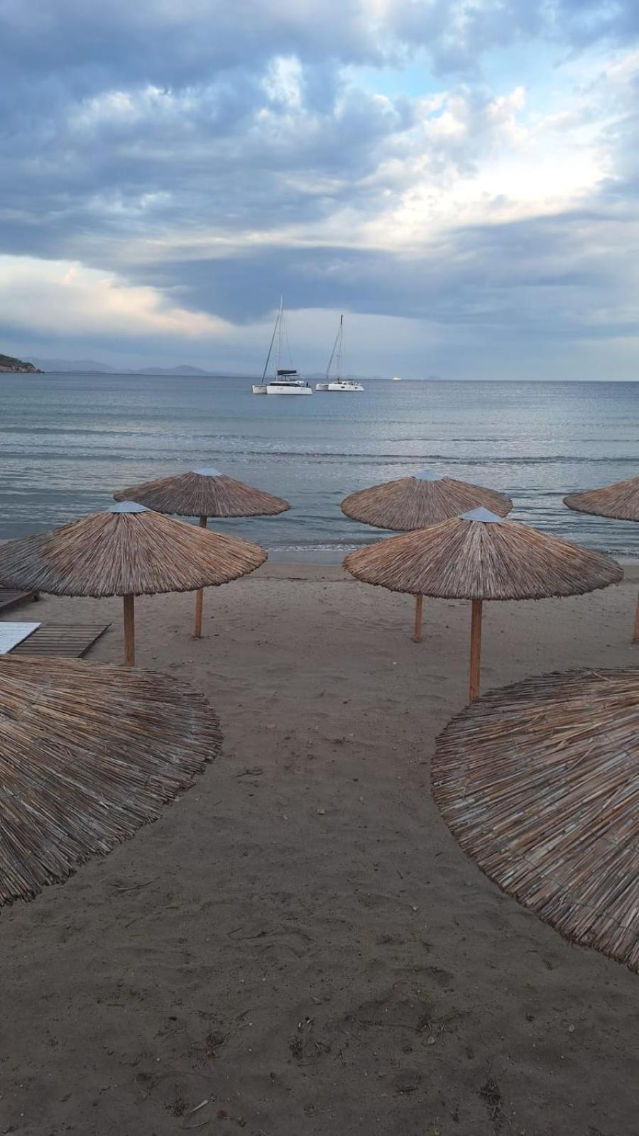 Svetlana & Michalis Oasis Hotel Agia Marina  Extérieur photo